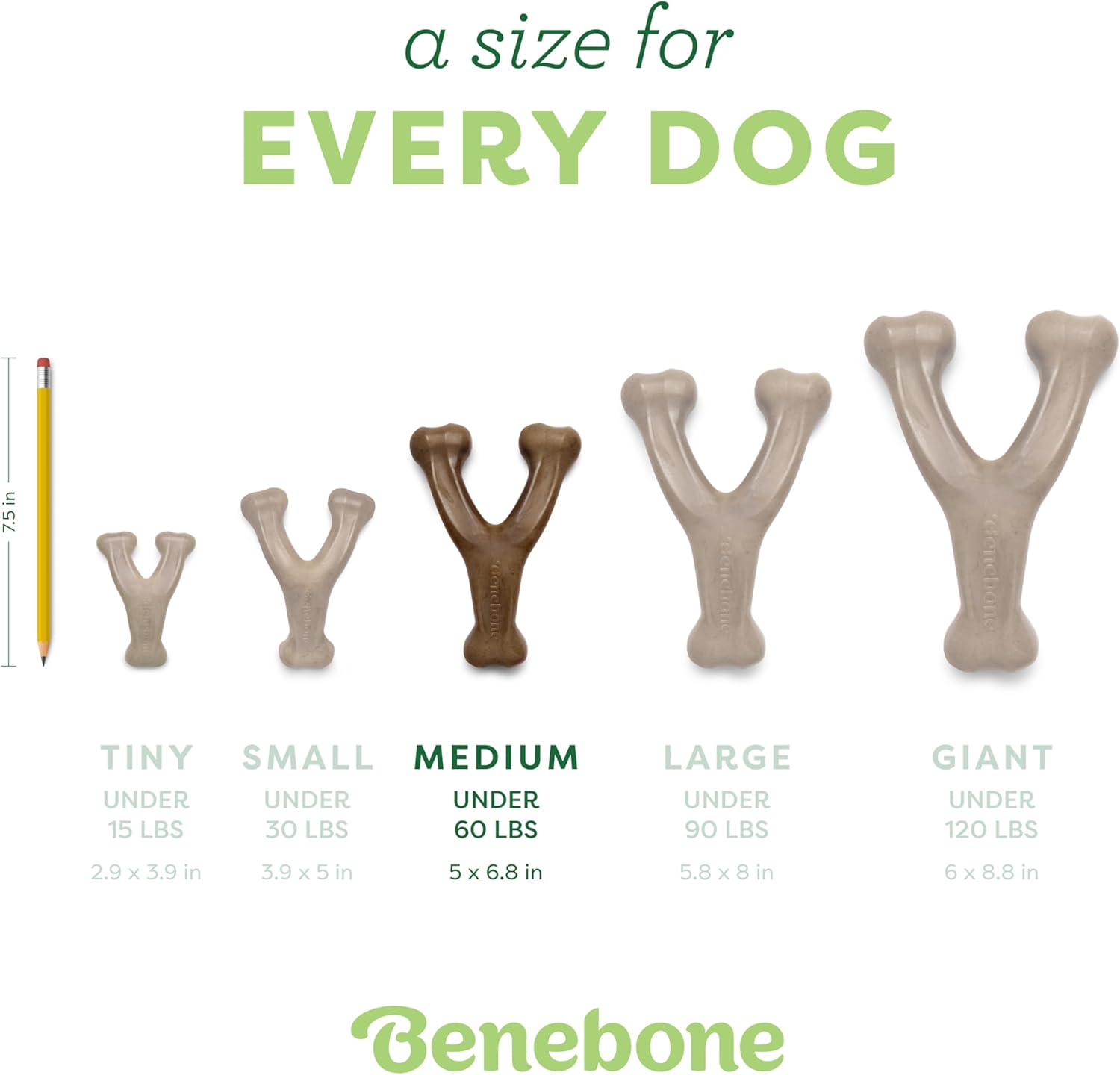 Bacon Bones